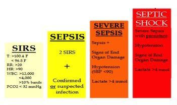 sepsis porn|stepsis videos .